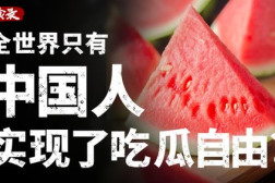 娱乐吃瓜酱财富自由,揭秘财富自由的秘密之路