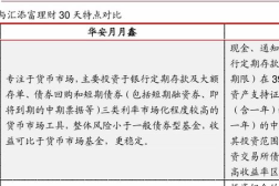 202801基金净值,投资业绩与市场趋势洞察