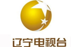 辽宁公共频道在线直播,多渠道直播，精彩内容随时掌握
